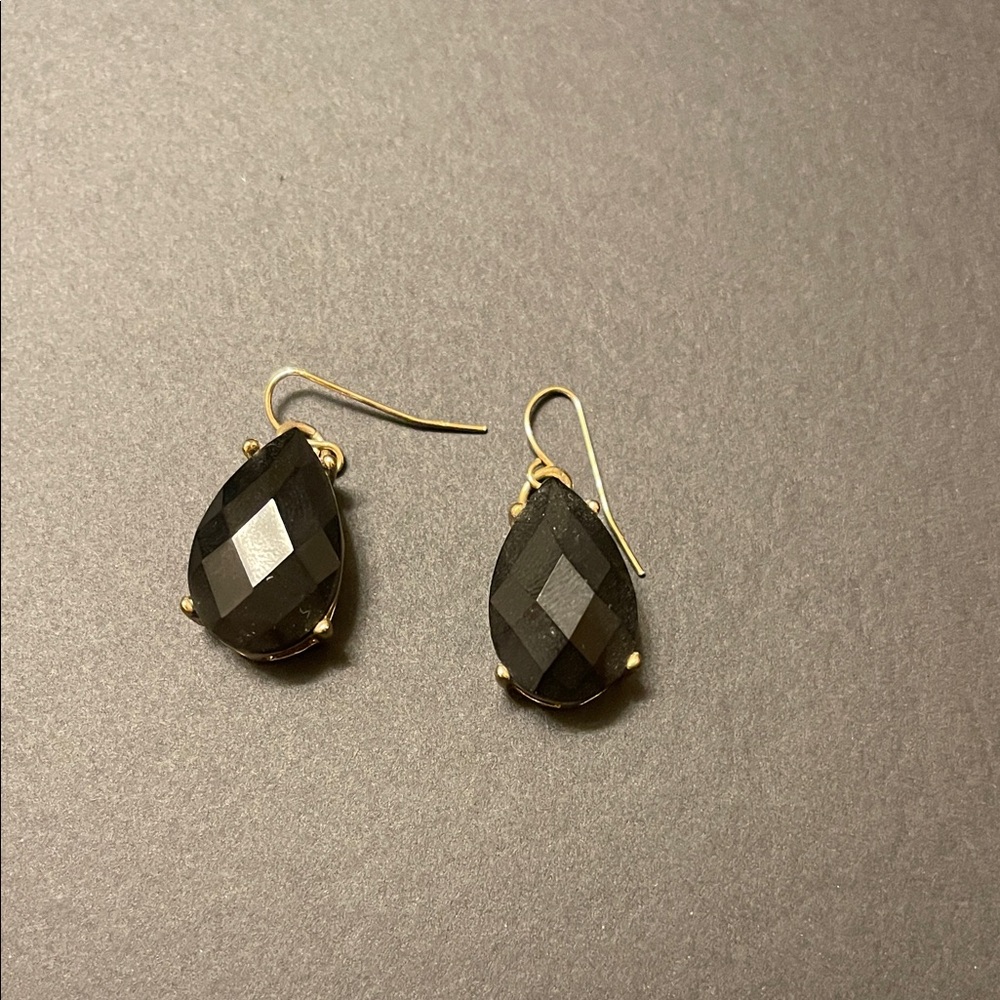 Elegant Black Teardrop Earrings
